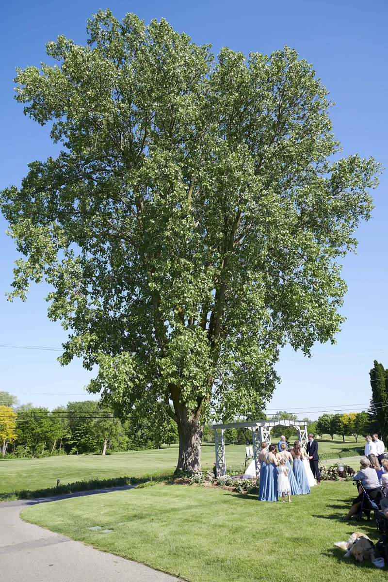 _D852535.jpg