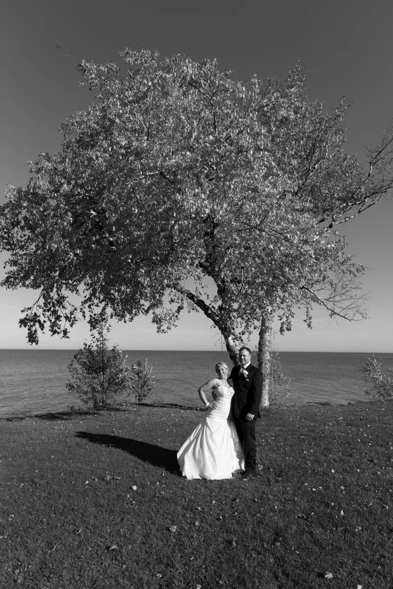D75_8724.jpg