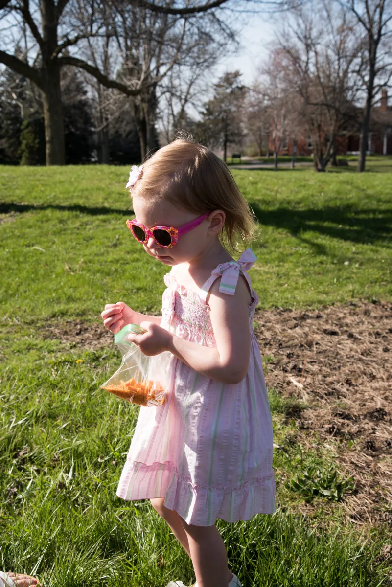 D75_5803.jpg
