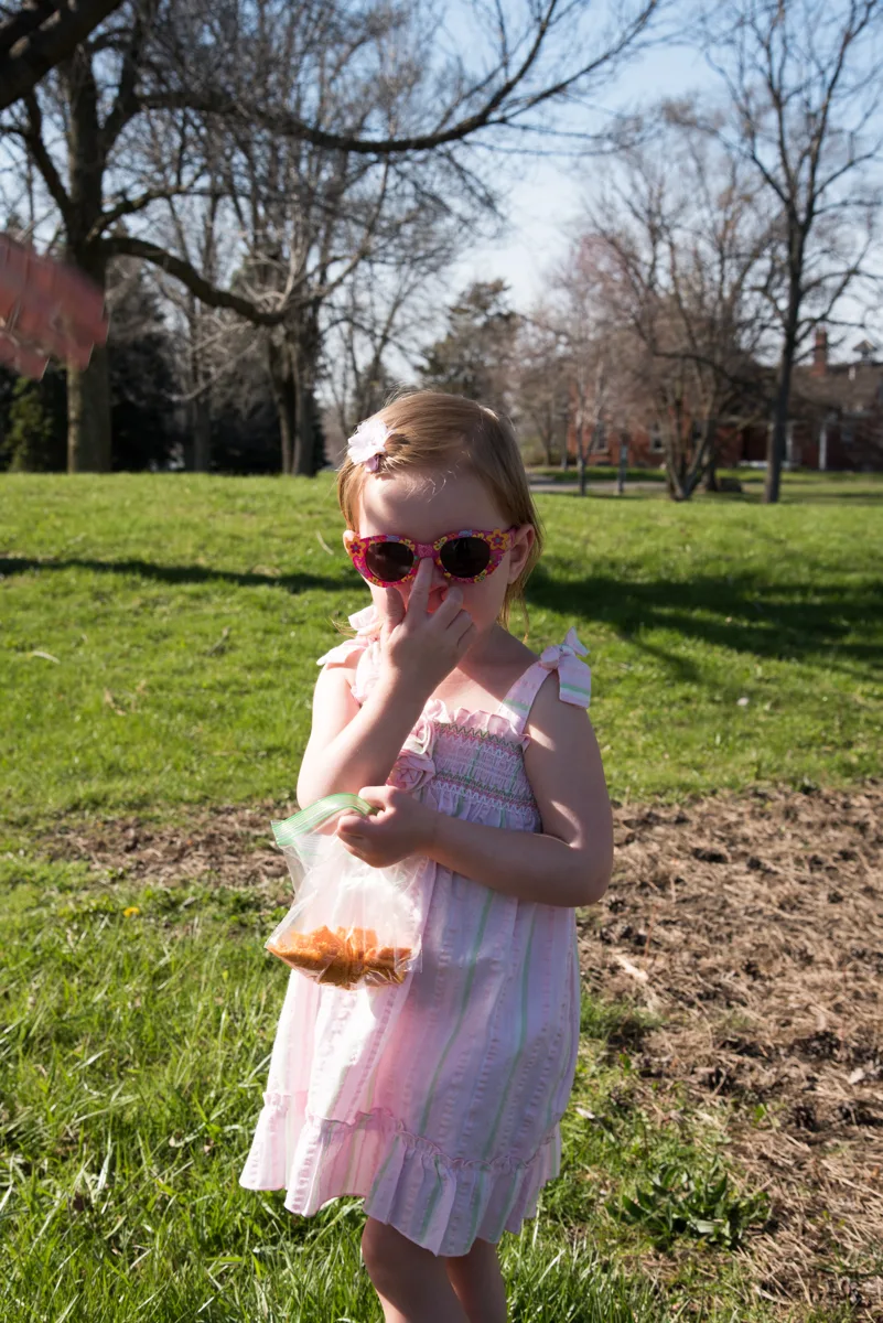 D75_5806.jpg